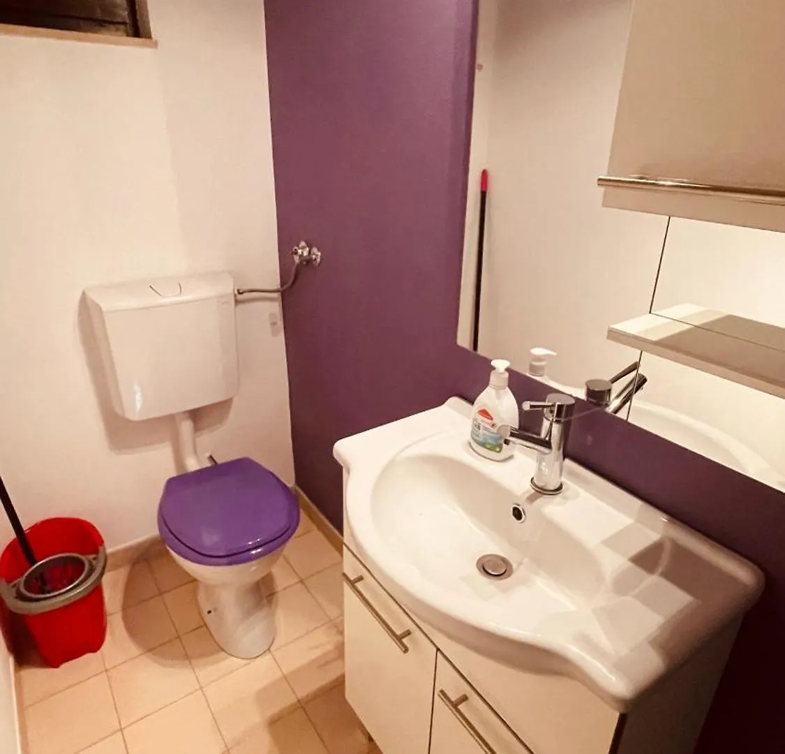 The Secret Orchid Apartment Rovinj
