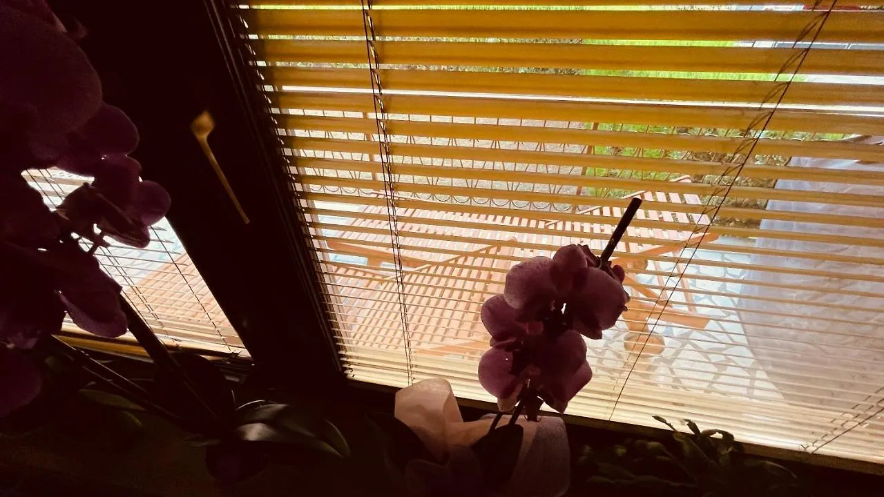 The Secret Orchid Διαμέρισμα Ρόβινι Κροατία